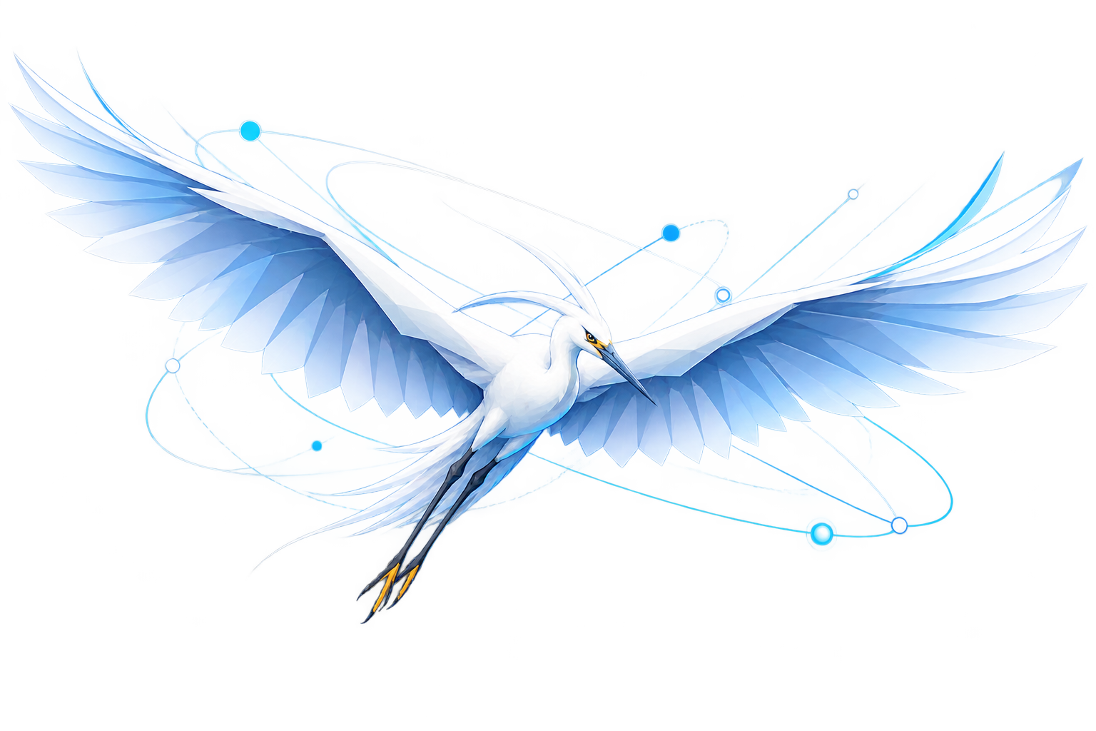 A white egret in full flight